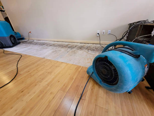 Professional Basement Flood Cleanup technician working in Tiffin, OH